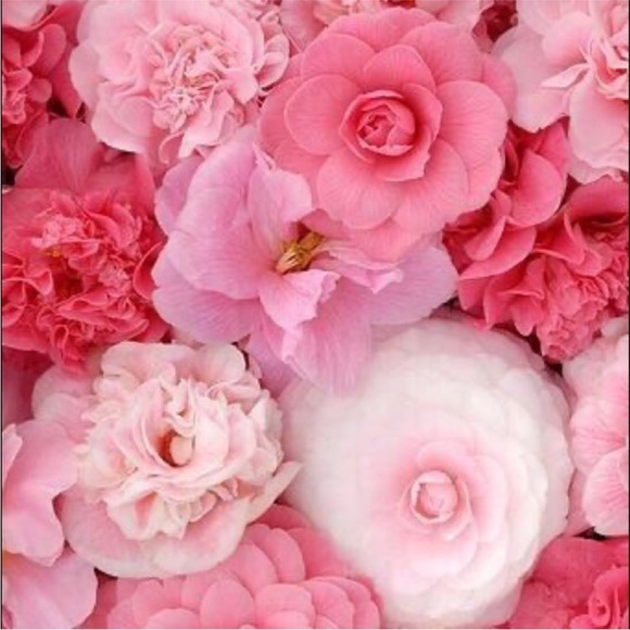 Park Lane Crystal dish. - Picture 14 of 15